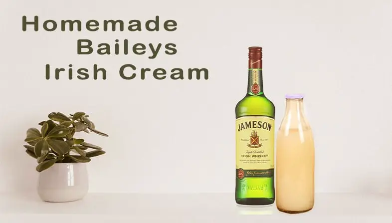 easy homemade baileys irish Cream recipe