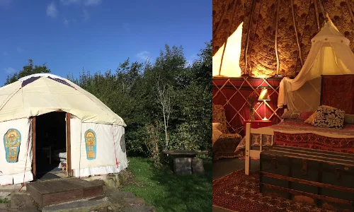 glamping in cork